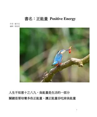 書封 正能量 POSITIVE ENERGY